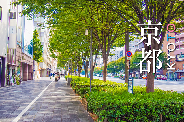 京都府の薬剤師転職サイトおすすめランキング