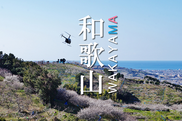 和歌山県の薬剤師転職サイトおすすめランキング